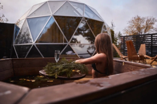 Дом сфера с душем и панорамной ванной